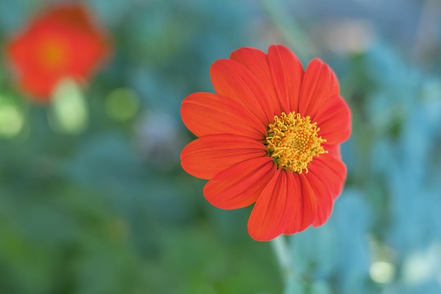 势力压法国 势力压法国