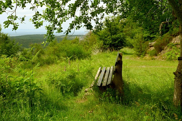 AC米兰的 AC米兰的