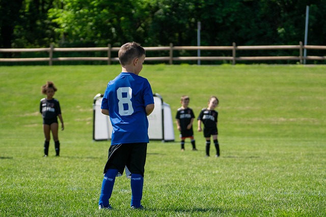 假货蒙骗的 假货蒙骗的