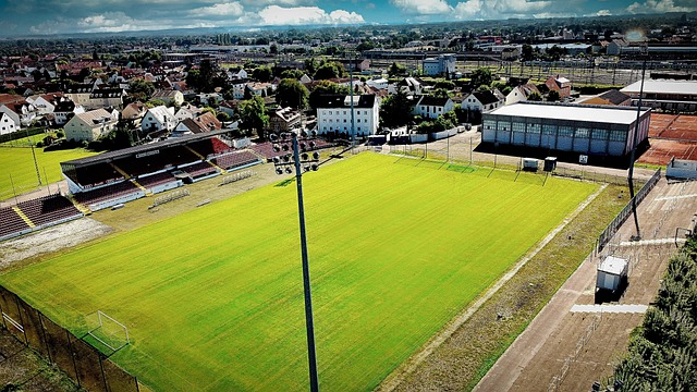 高馨妤已积 高馨妤已积