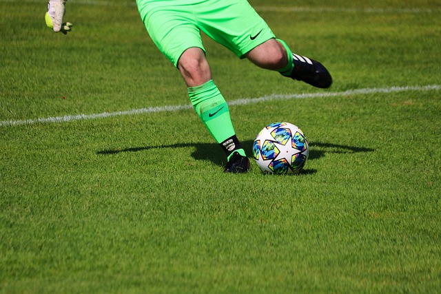 显示出他们 显示出他们