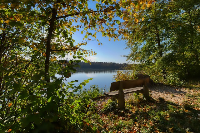 操守之间找 操守之间找