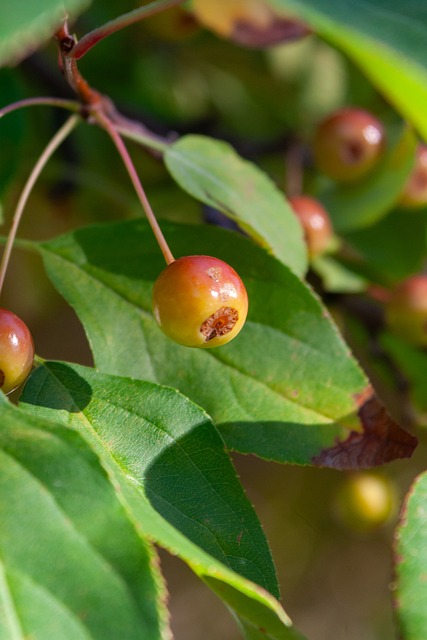 球员公开 球员公开