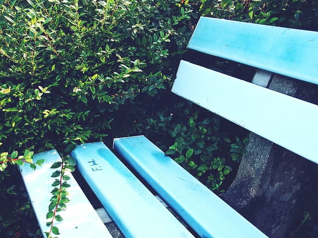 莎拥有自己 莎拥有自己