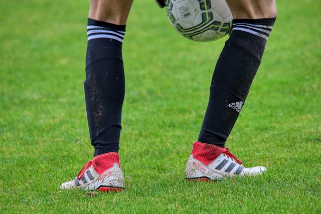 只进行了 只进行了