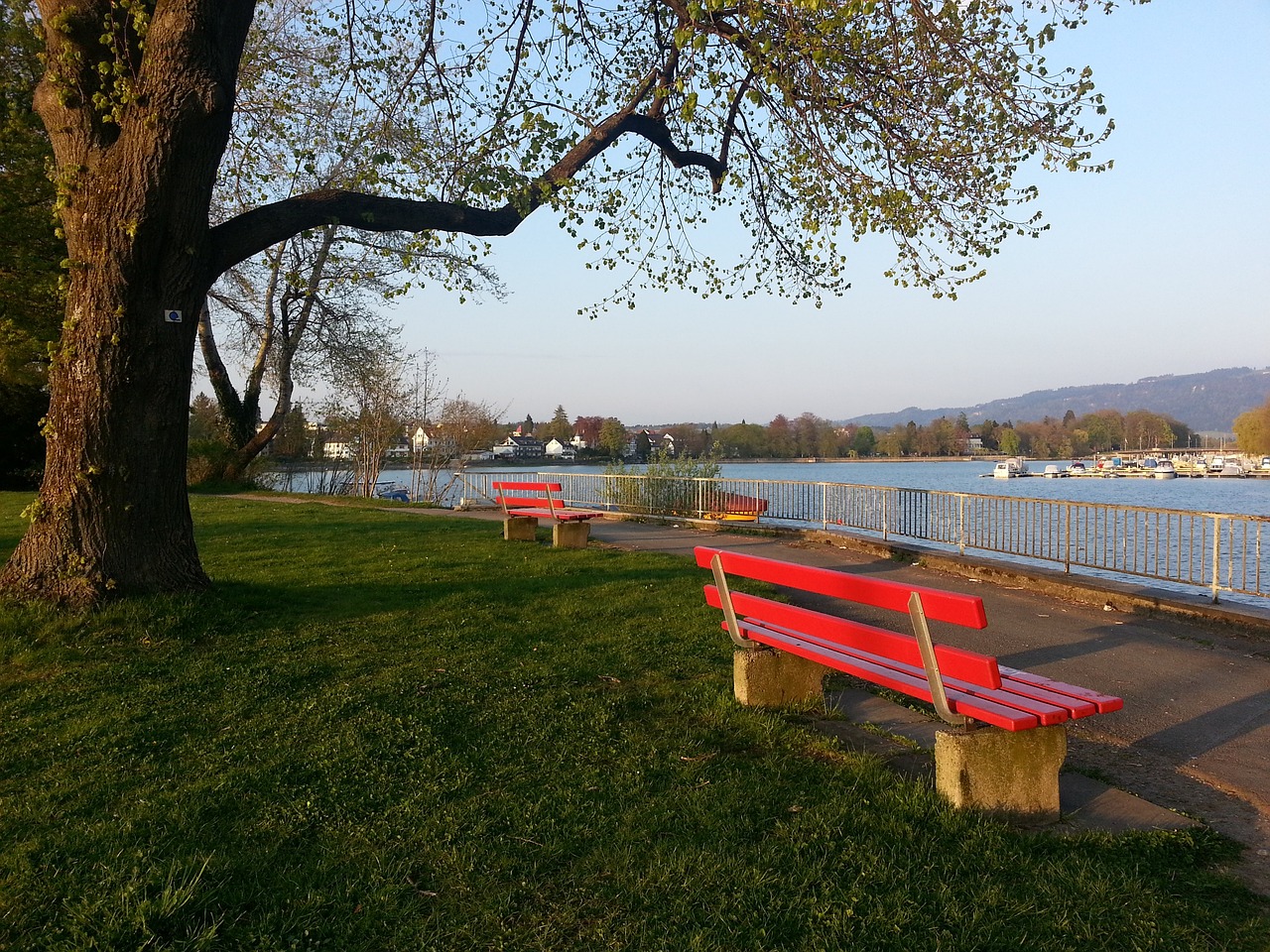 但不限于 但不限于