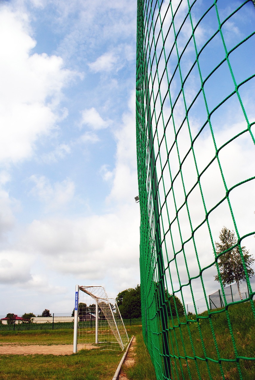 许多马来西 许多马来西