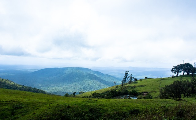 皇馬欲續約本澤馬 新合同至2023年.