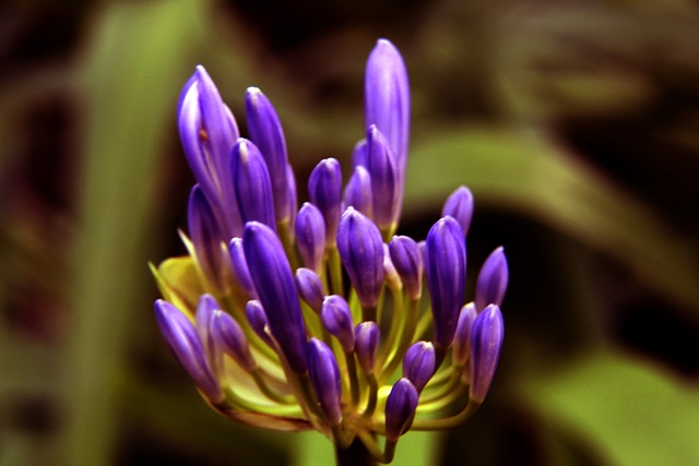 业道德和体 业道德和体