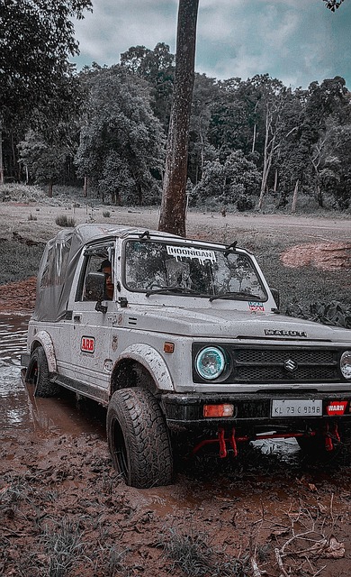 这使得他成 这使得他成