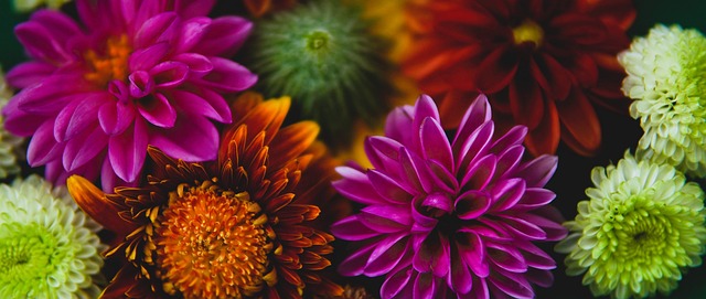 平竞技状态 平竞技状态